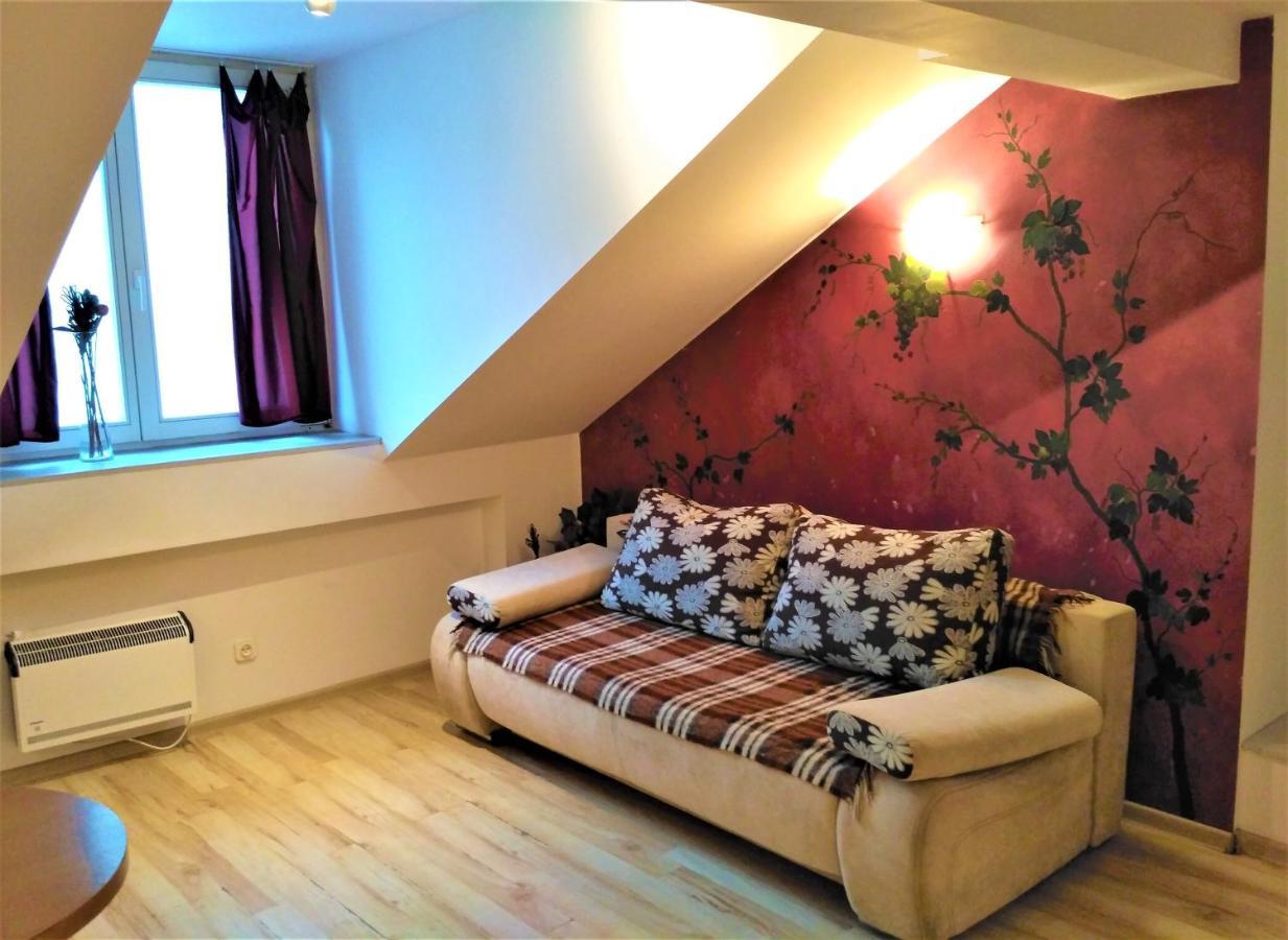 Krakow City Centre Apartment - Bon Turystyczny מראה חיצוני תמונה